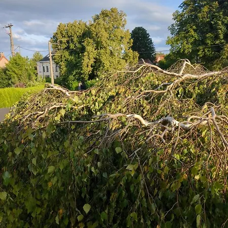 Elena Bed and Breakfast 3*